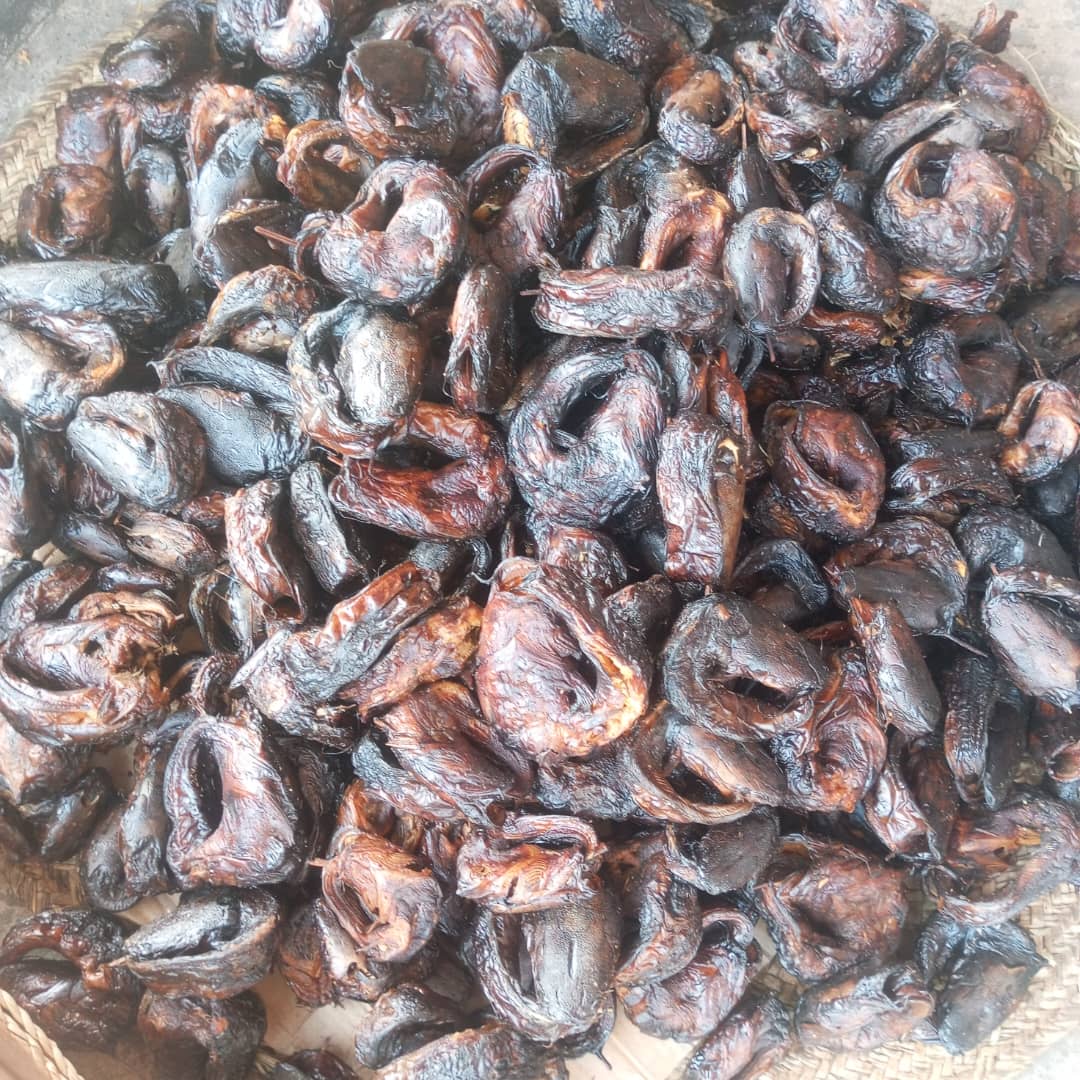Premium Dried Fish Products